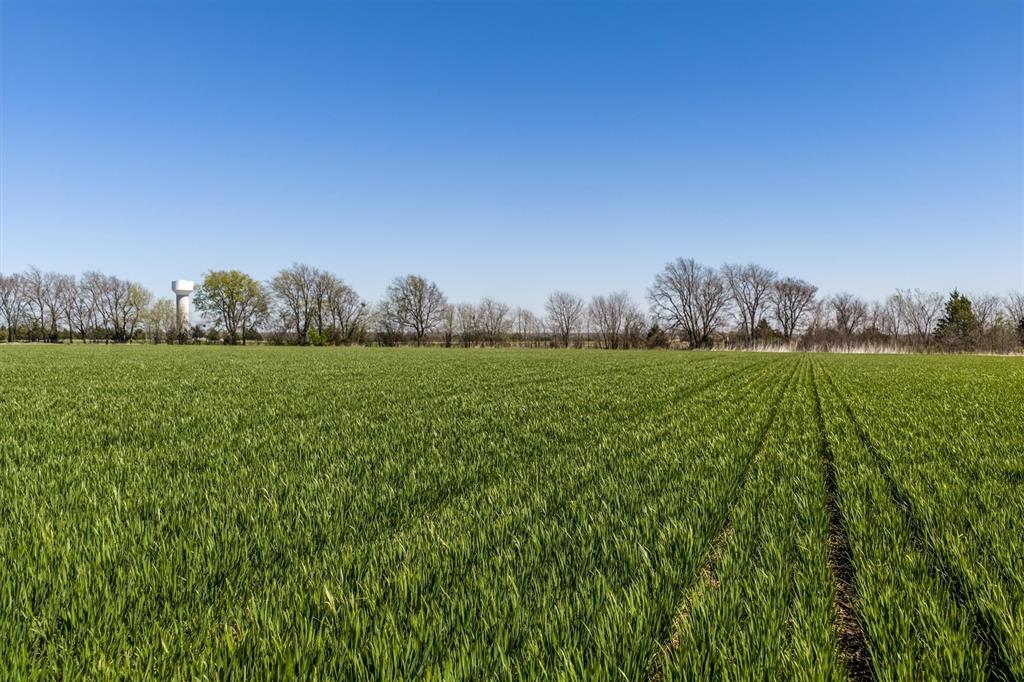 GC Abstract 201 - Land