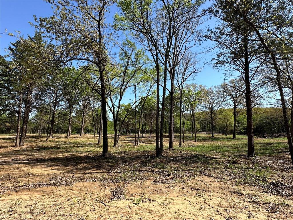TBD Lot 4 Cr-194