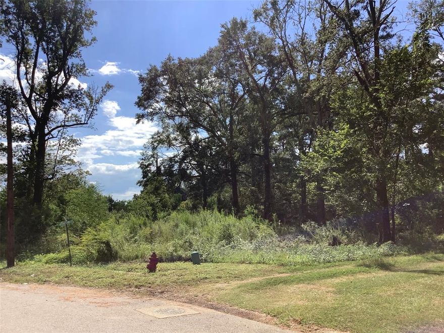 Build your dream home and enjoy the surrounding land. Two parcels to be sold together with a total of 24.72 acres. Land has three small ponds.