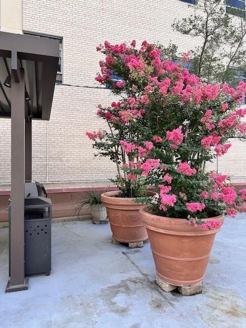 Elm Street Condo 1505 - Residential