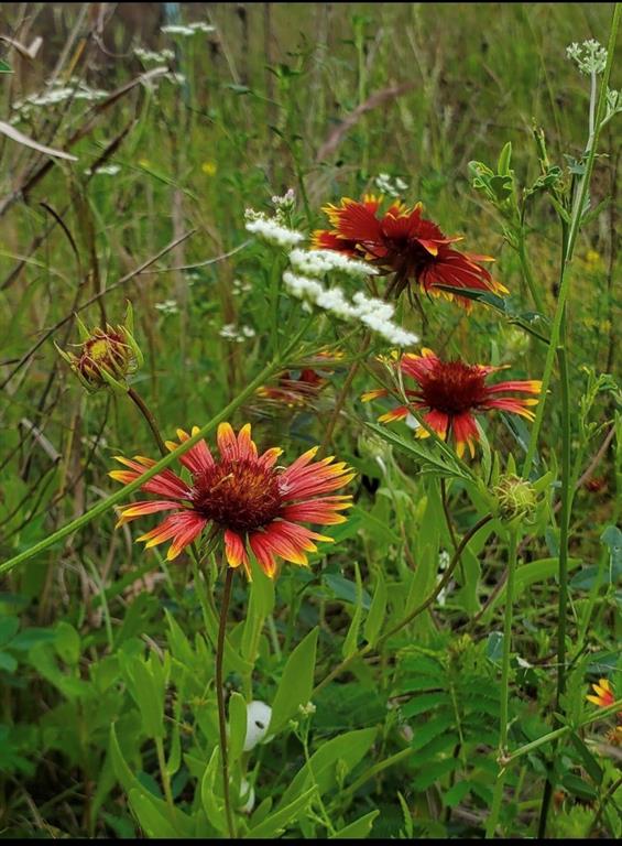 Hills Above Possum Kingdom - Land