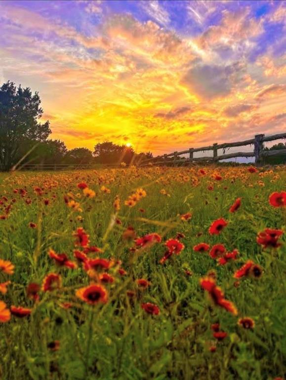 Hills Above Possum Kingdom - Land