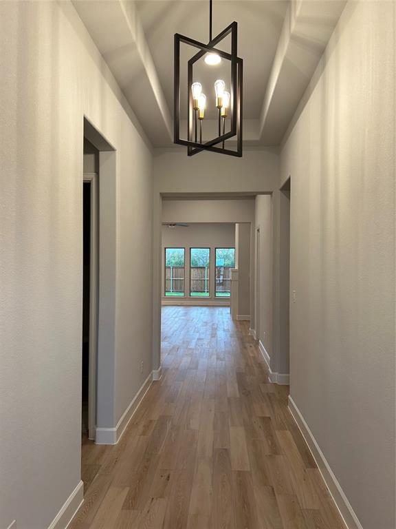 2216 Moonstruck Place