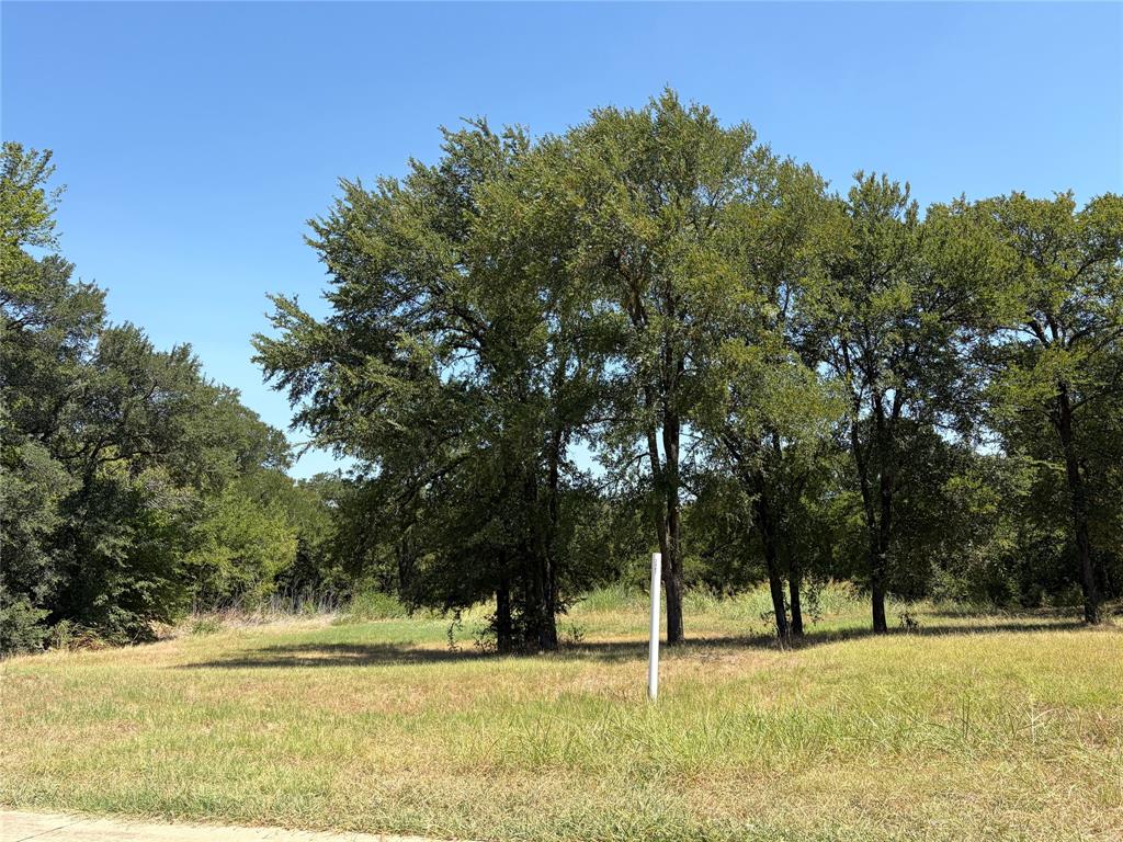 2487 Creekwood Drive