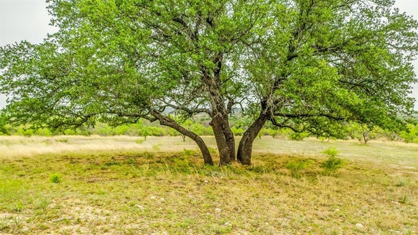 120 COUNTY RD 322, DUBLIN, TX 76446 - Image 04e09eb703bfe96123c84750a9afabe1/3204489663