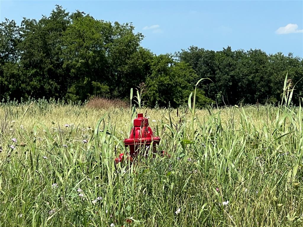 Rolling Ridge - Land