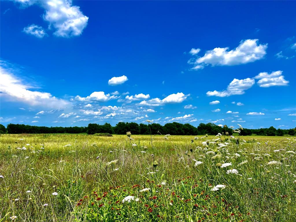 Rolling Ridge - Land