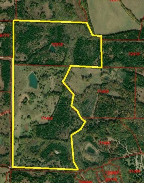 TBD County road 3045 Dodd City TX 75438