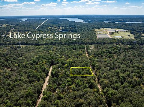 Photo of 0 Daffodil Lane, Mount Vernon, TX 75457 (MLS # 21197310)