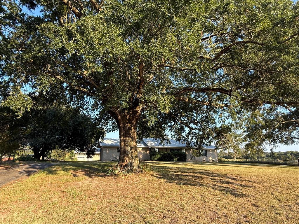 W Connally Surv Abst #134 - Residential