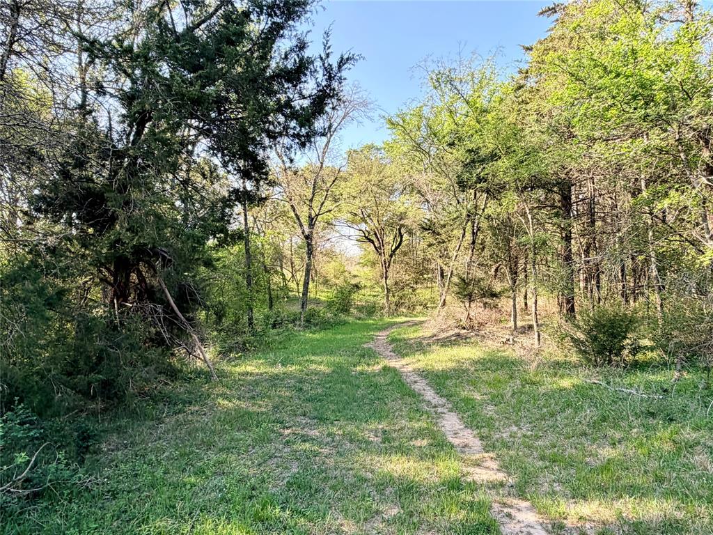 TBD 213.5 acs FCR 984