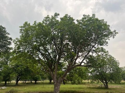 A home in Rio Vista