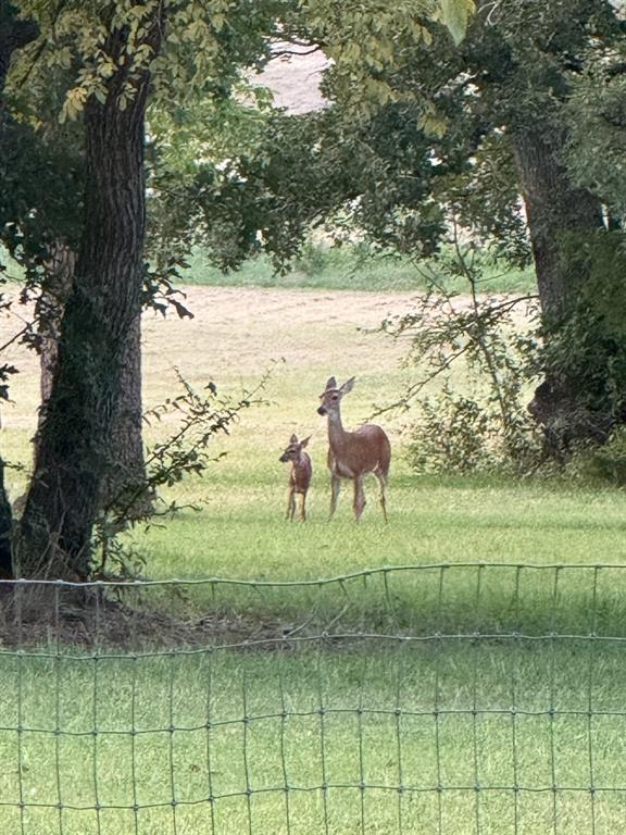 Post Oak Meadows Ranch - Residential