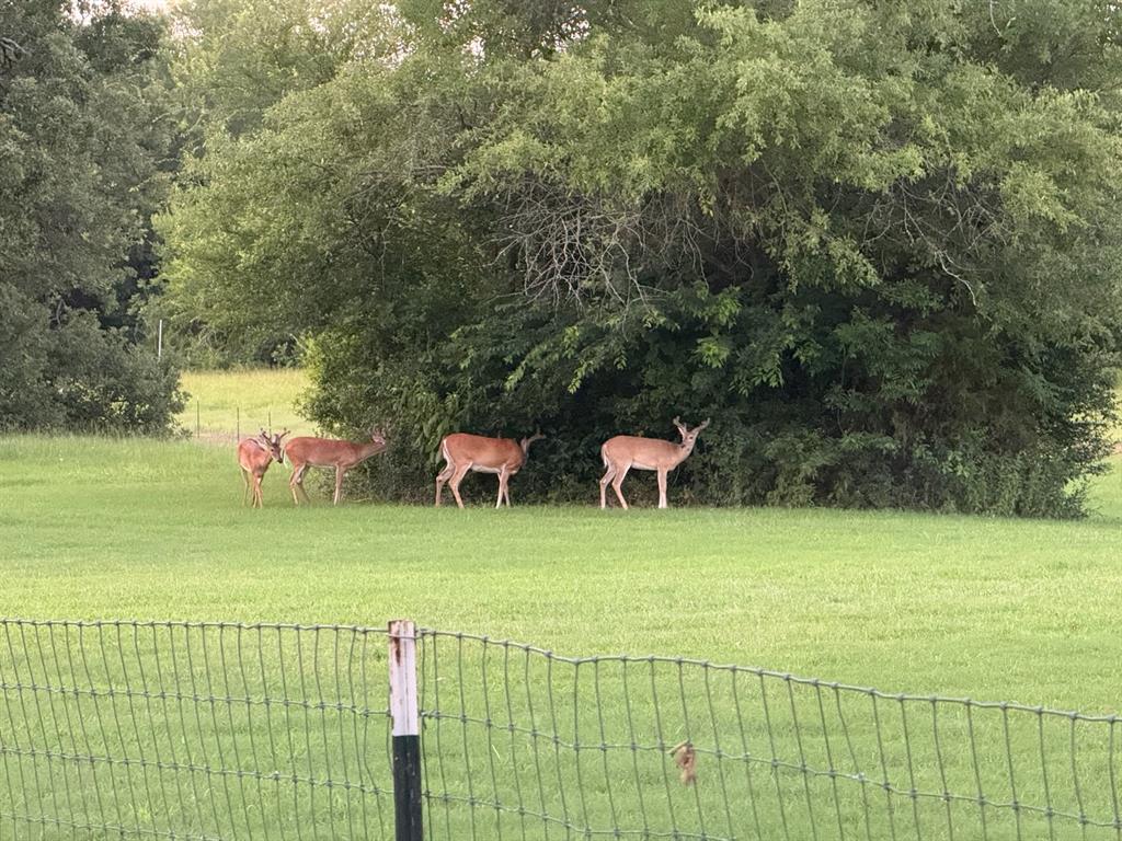 Post Oak Meadows Ranch - Residential