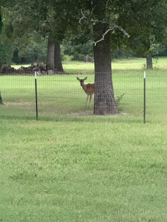 Post Oak Meadows Ranch - Residential