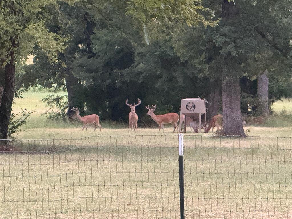 Post Oak Meadows Ranch - Residential