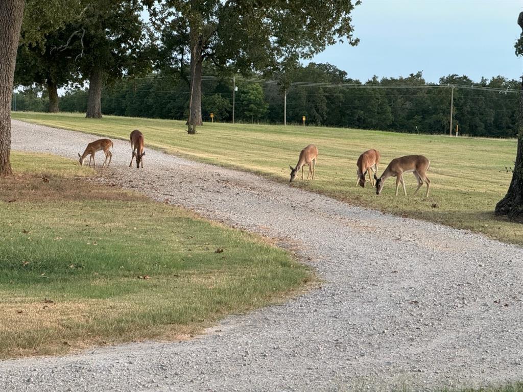 9748 County Road 1200