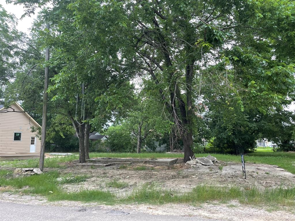 Orig Town Of Wolfe City - Land