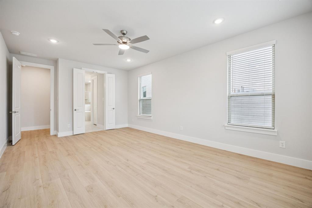 Painted Tree - Residential