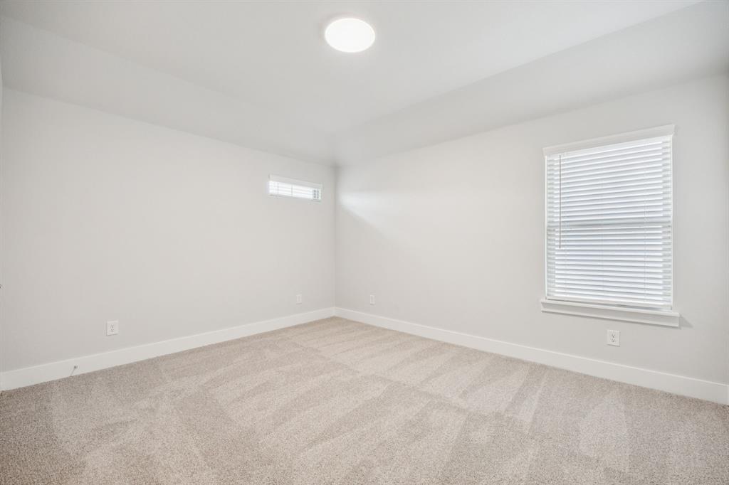 Painted Tree - Residential