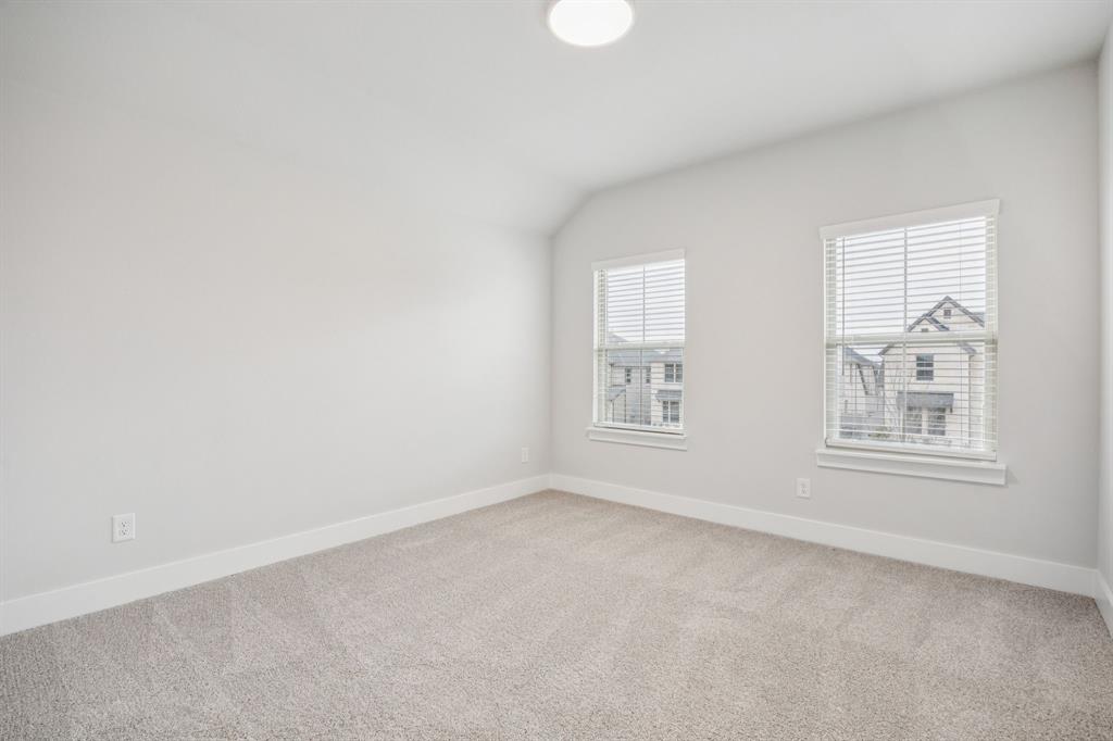 Painted Tree - Residential