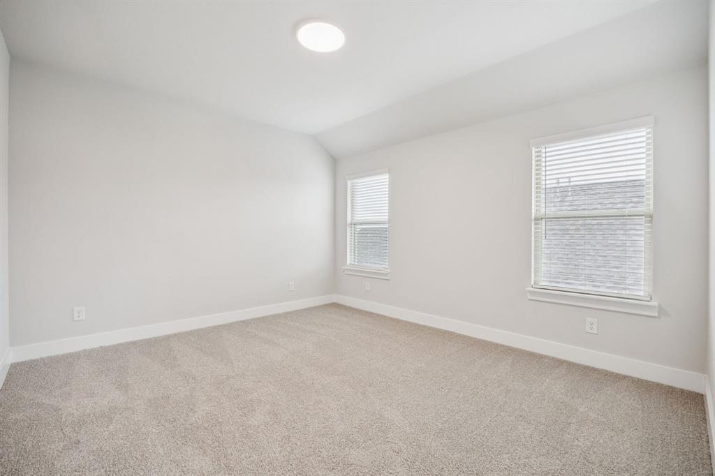 Painted Tree - Residential