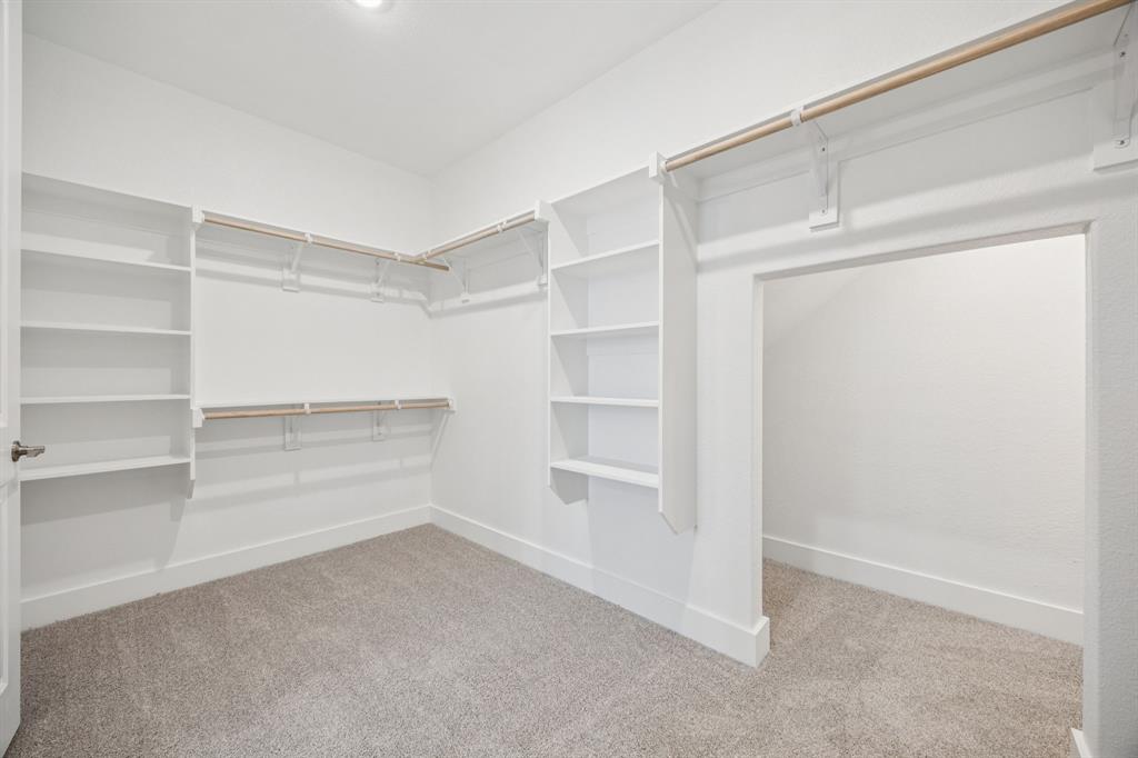 Painted Tree - Residential