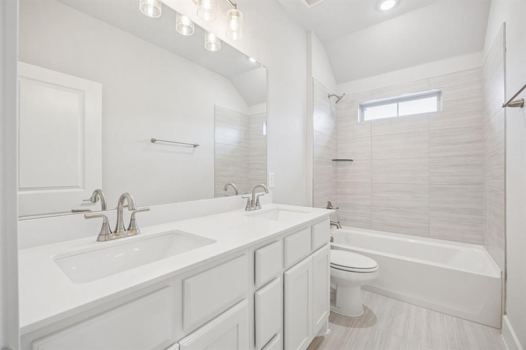 Painted Tree - Residential