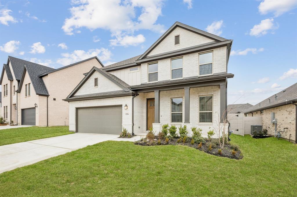 Painted Tree - Residential