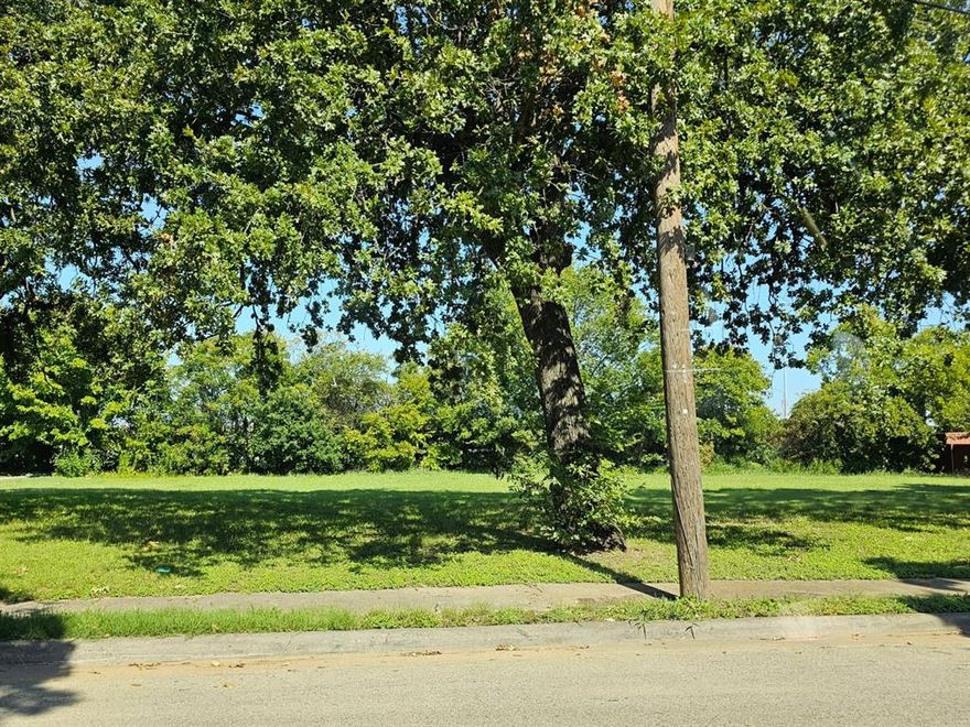 Don't miss out on this great opportunity near Fair Park. Lot is ideal for investment or to build your next home.