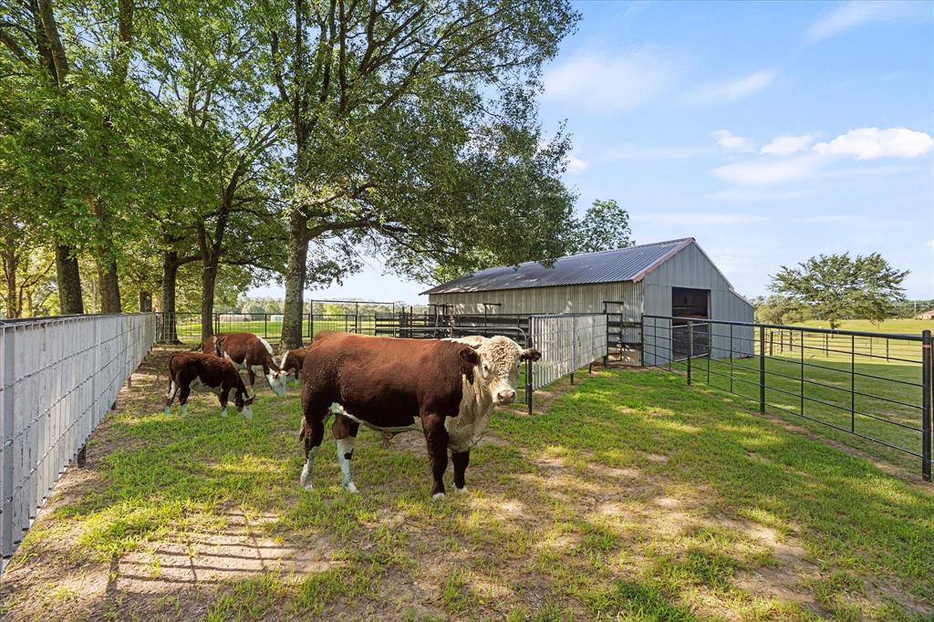 TBD Vz County Road 3104