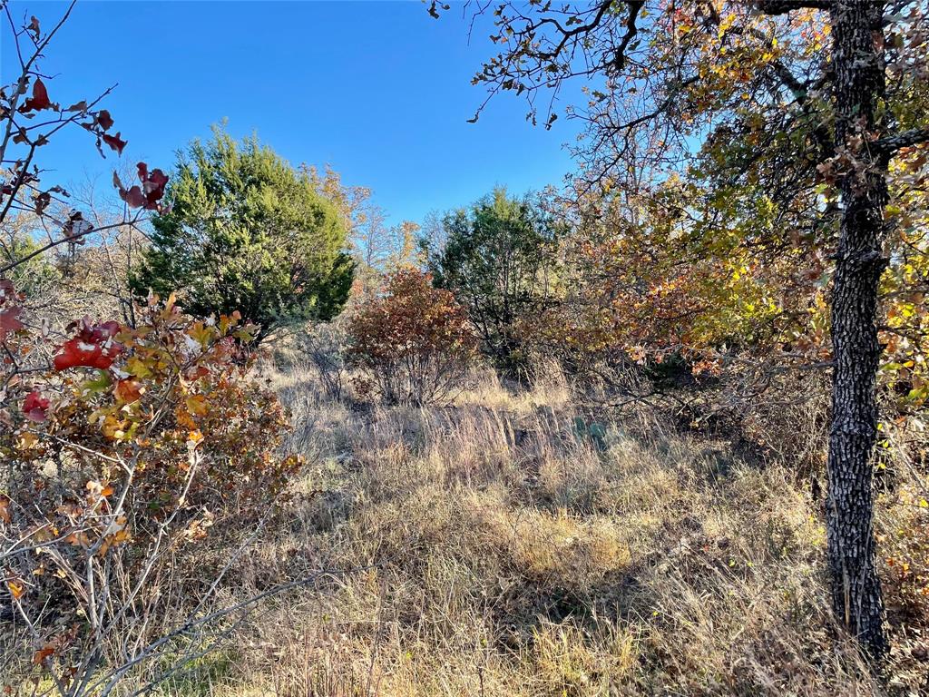 Hidden Shores - Land