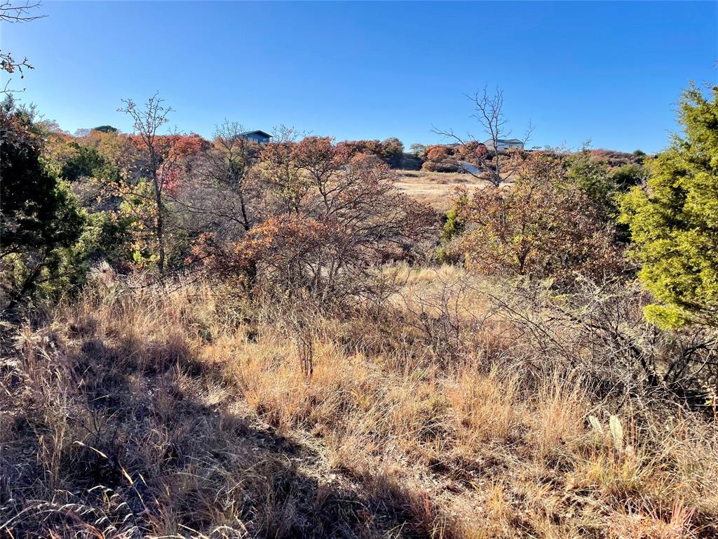 Hidden Shores - Land