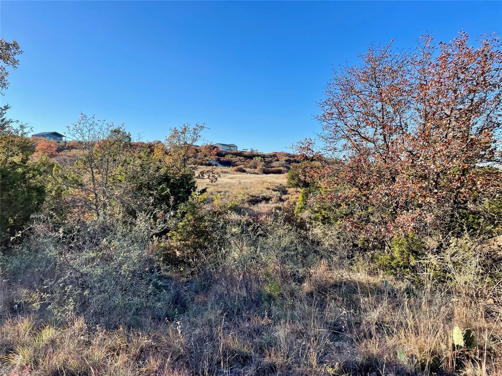 Hidden Shores - Land