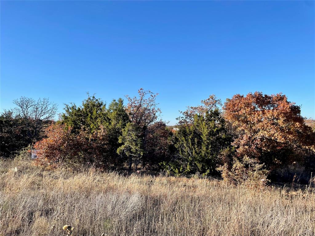 Hidden Shores - Land