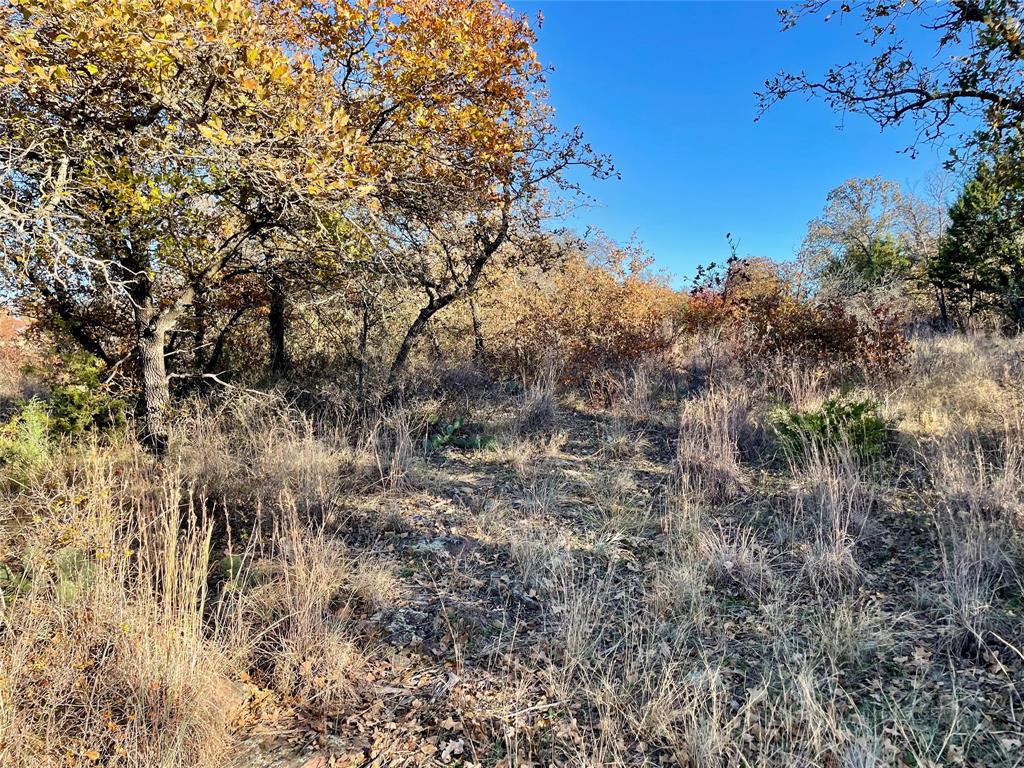 Hidden Shores - Land