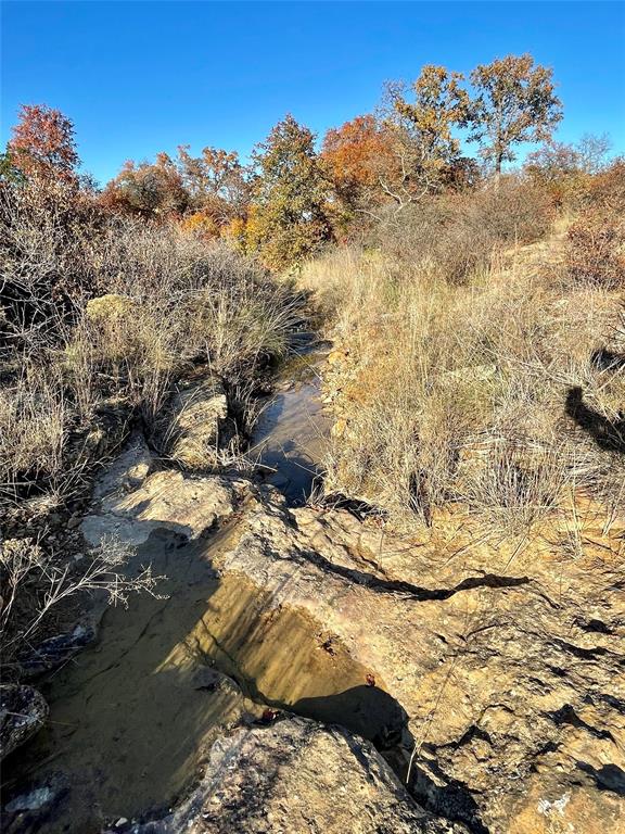 Hidden Shores - Land