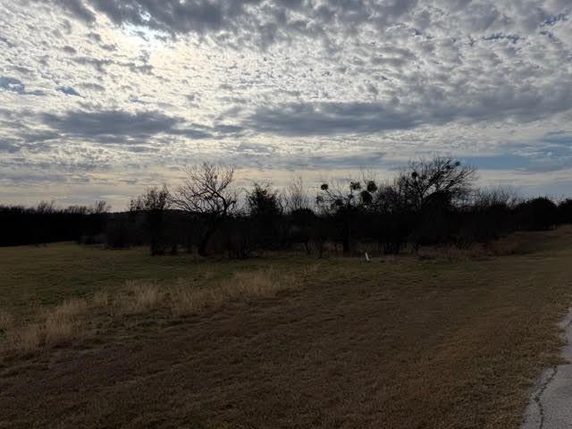 Hills Above Possum Kingdom Lak - Land