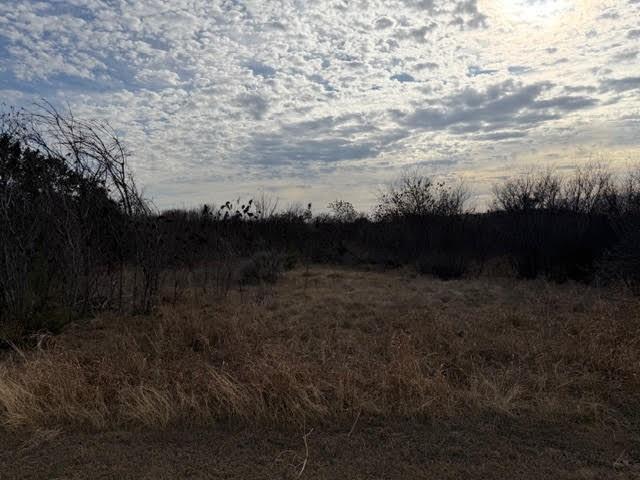 Hills Above Possum Kingdom Lak - Land