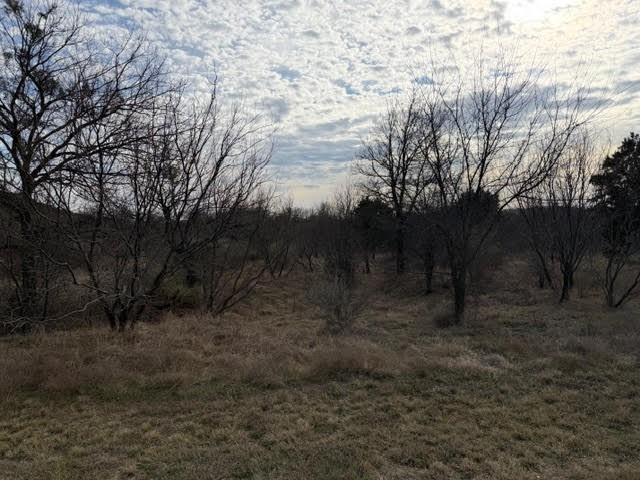 Hills Above Possum Kingdom Lak - Land