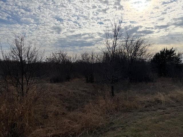 Hills Above Possum Kingdom Lak - Land