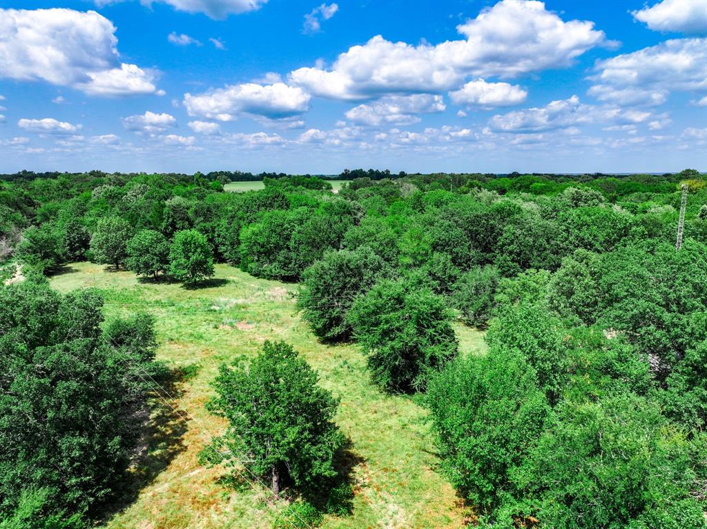 Sulphur Springs - Residential