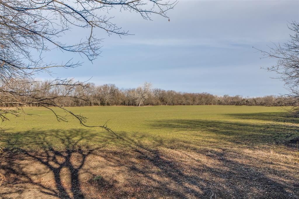 ABS A0556 JOSEPH MATHEWS SURVEY - Farm