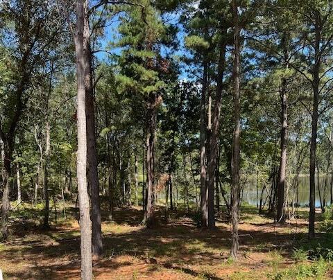 Island Lake Ranch - Land