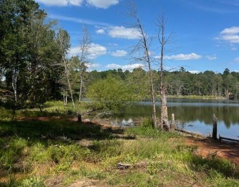 Island Lake Ranch - Land