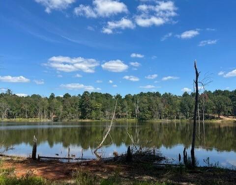 Island Lake Ranch - Land