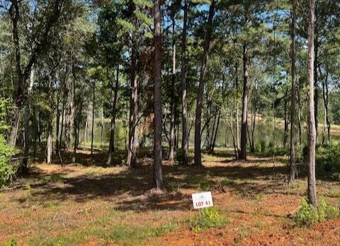 Island Lake Ranch - Land