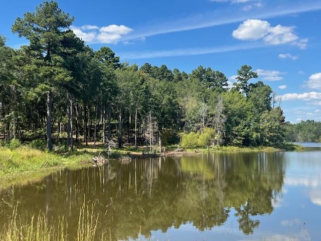 Island Lake Ranch - Land