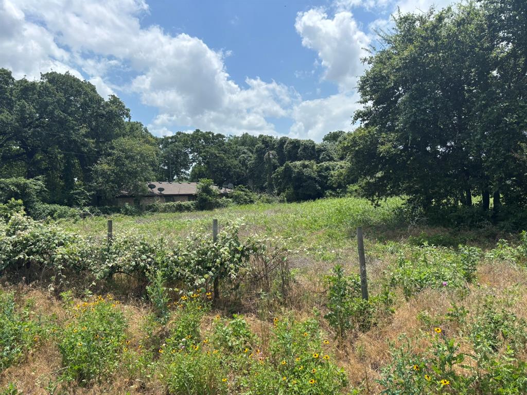 12999 Gholson Road