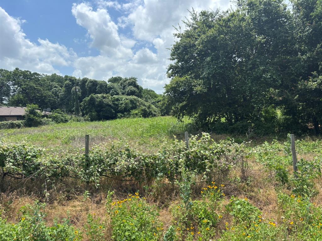 12999 Gholson Road